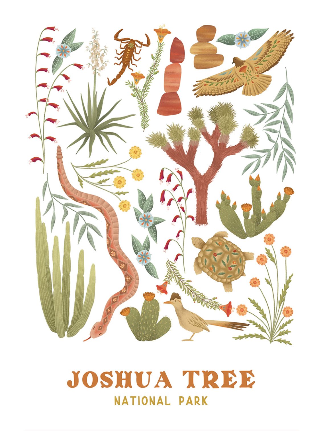 joshua tree.jpg