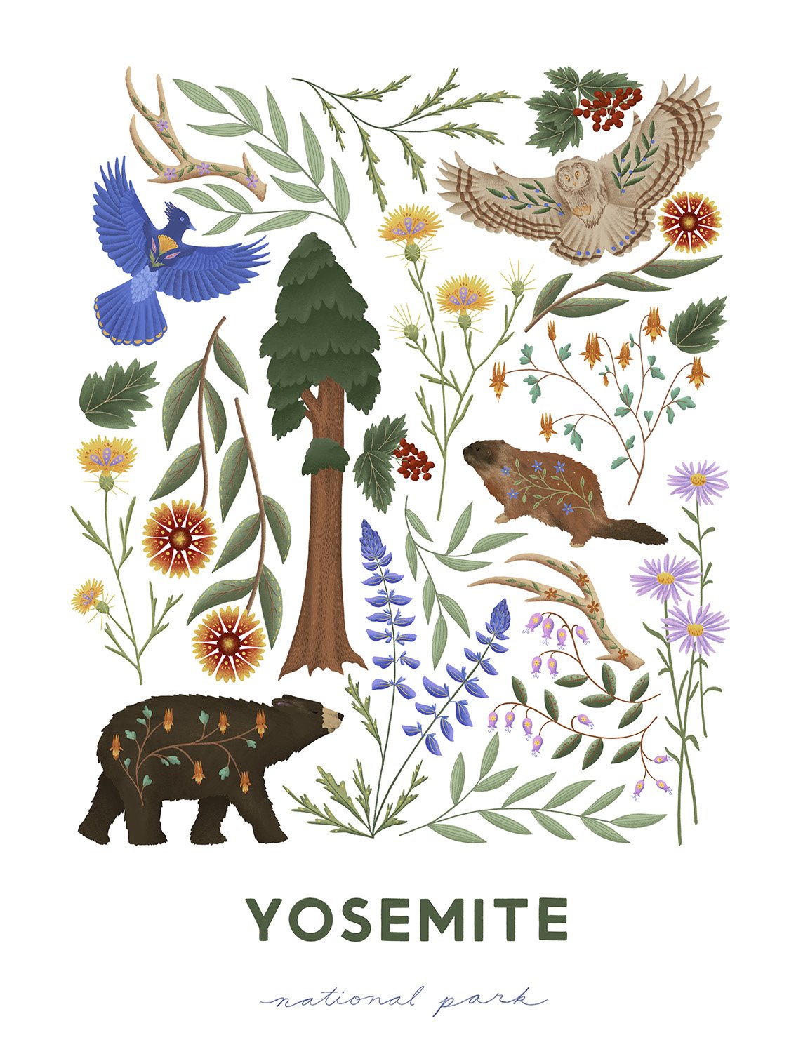 yosemite.jpg