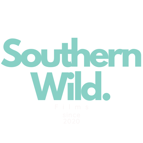 Southern Wild Films