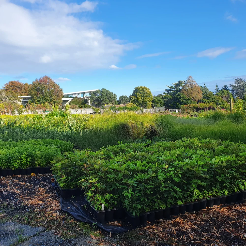 What Is Extension Programme Planning What Is Extension Programme Planning