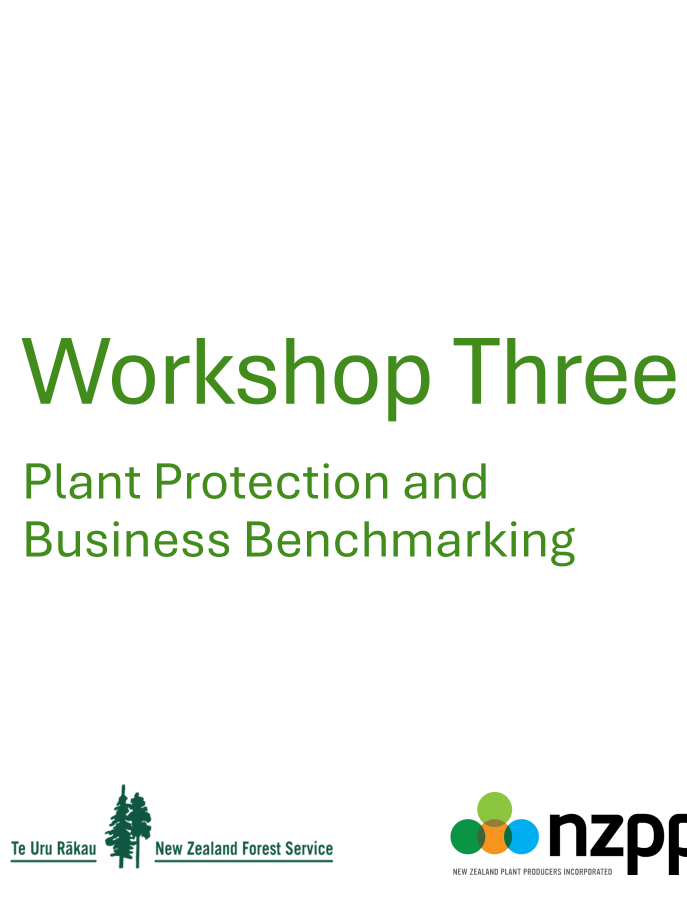 WS3 Cover - Copy.png