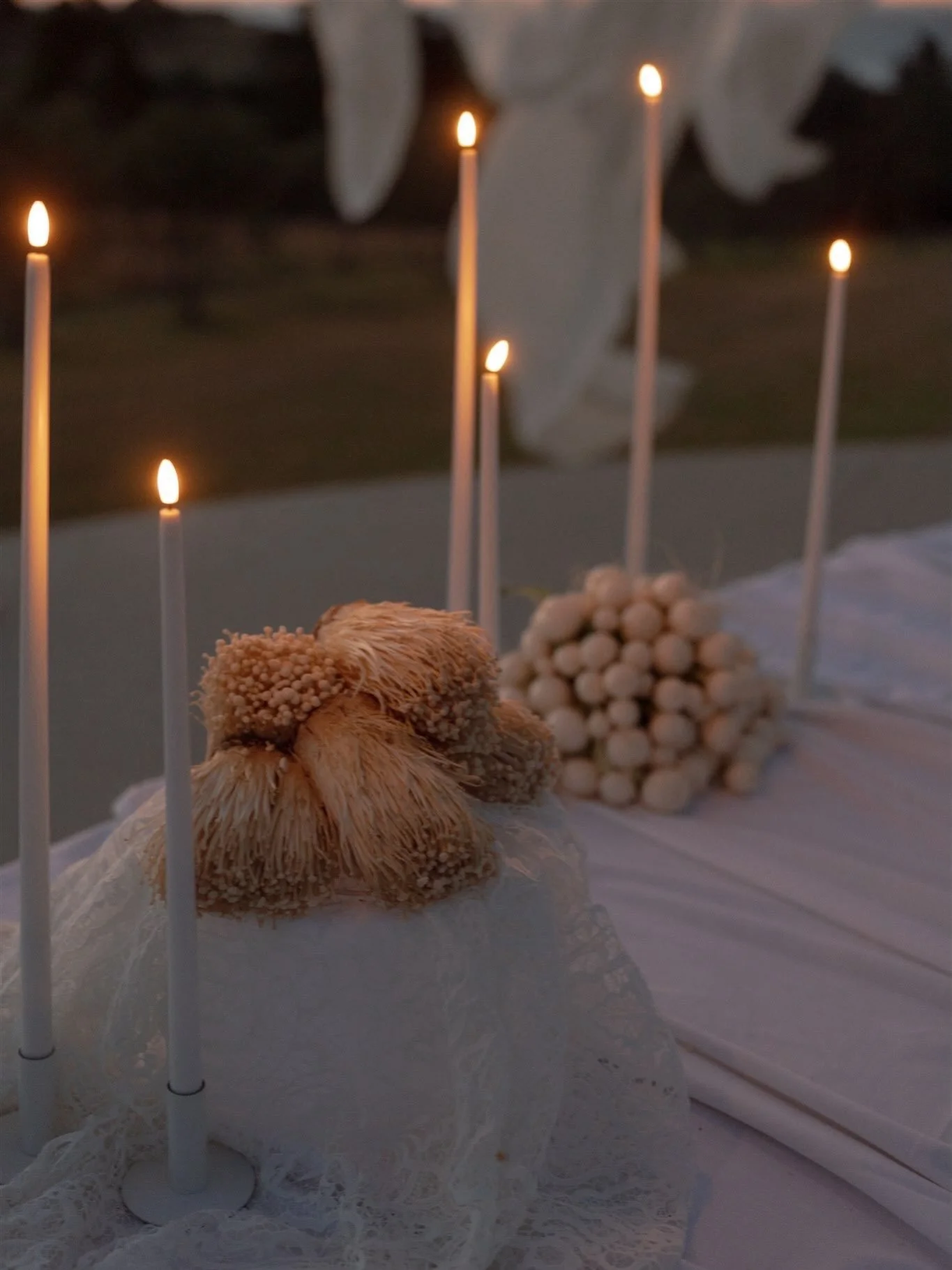 the art of restraint, in full light. 

a table left a little undone, linen given to the wind. undone, on purpose.

unkempt &mdash;

photography @maegan.brown