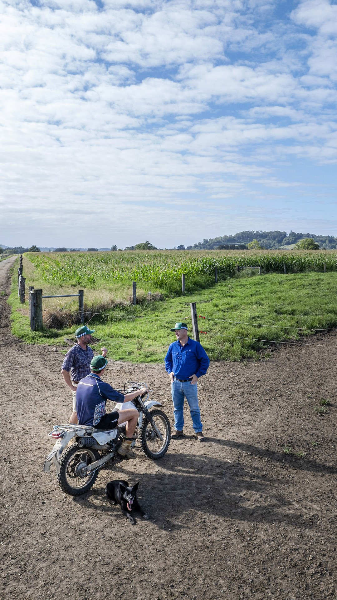 Limsore Farm Pioneer Seeds