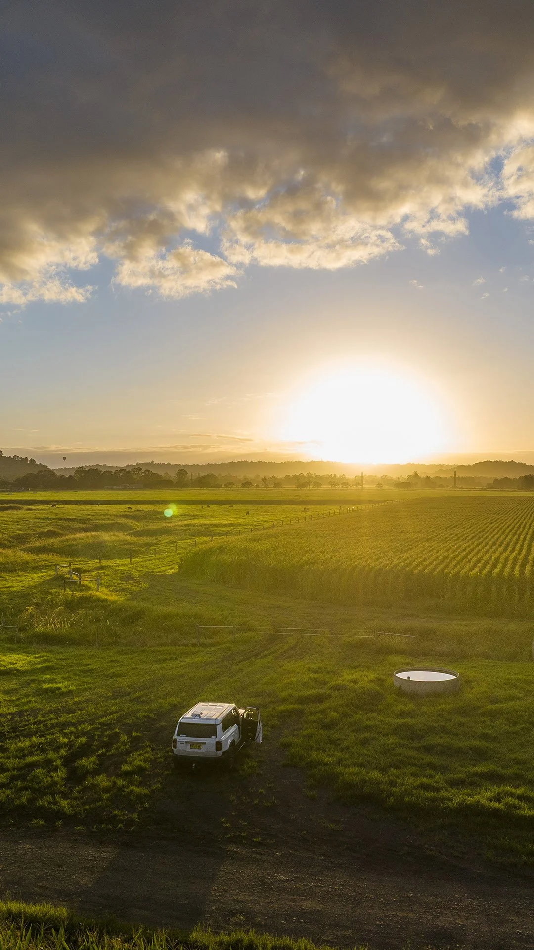Sunrise Lismore Farm