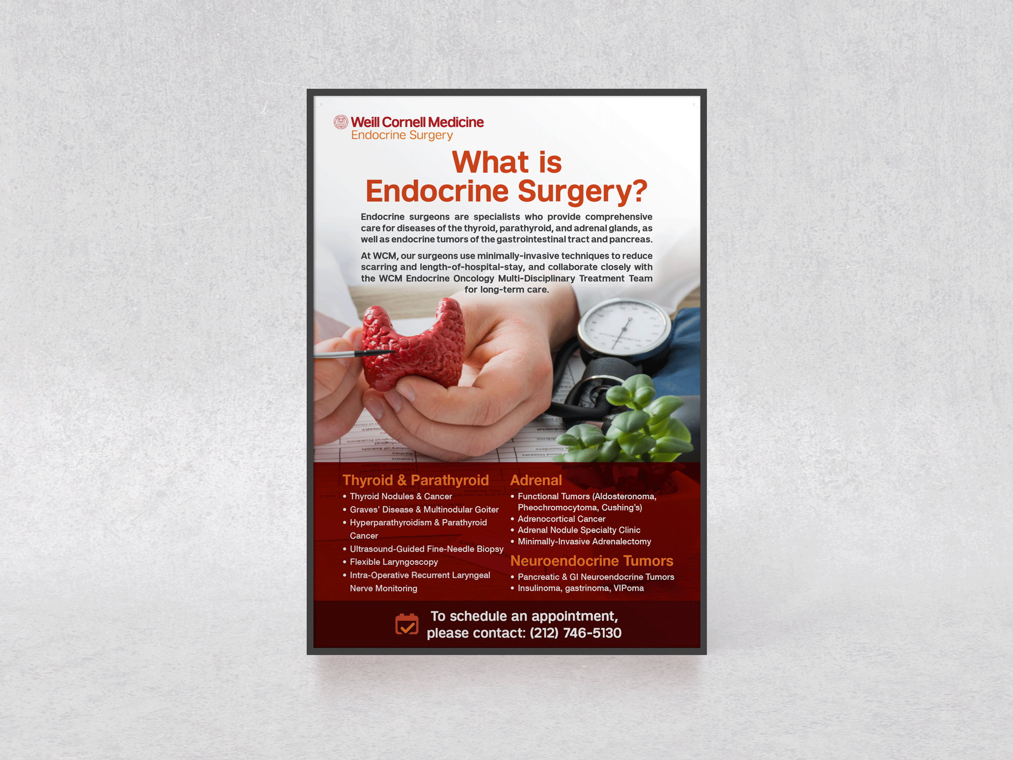 Endocrine-Poster.png