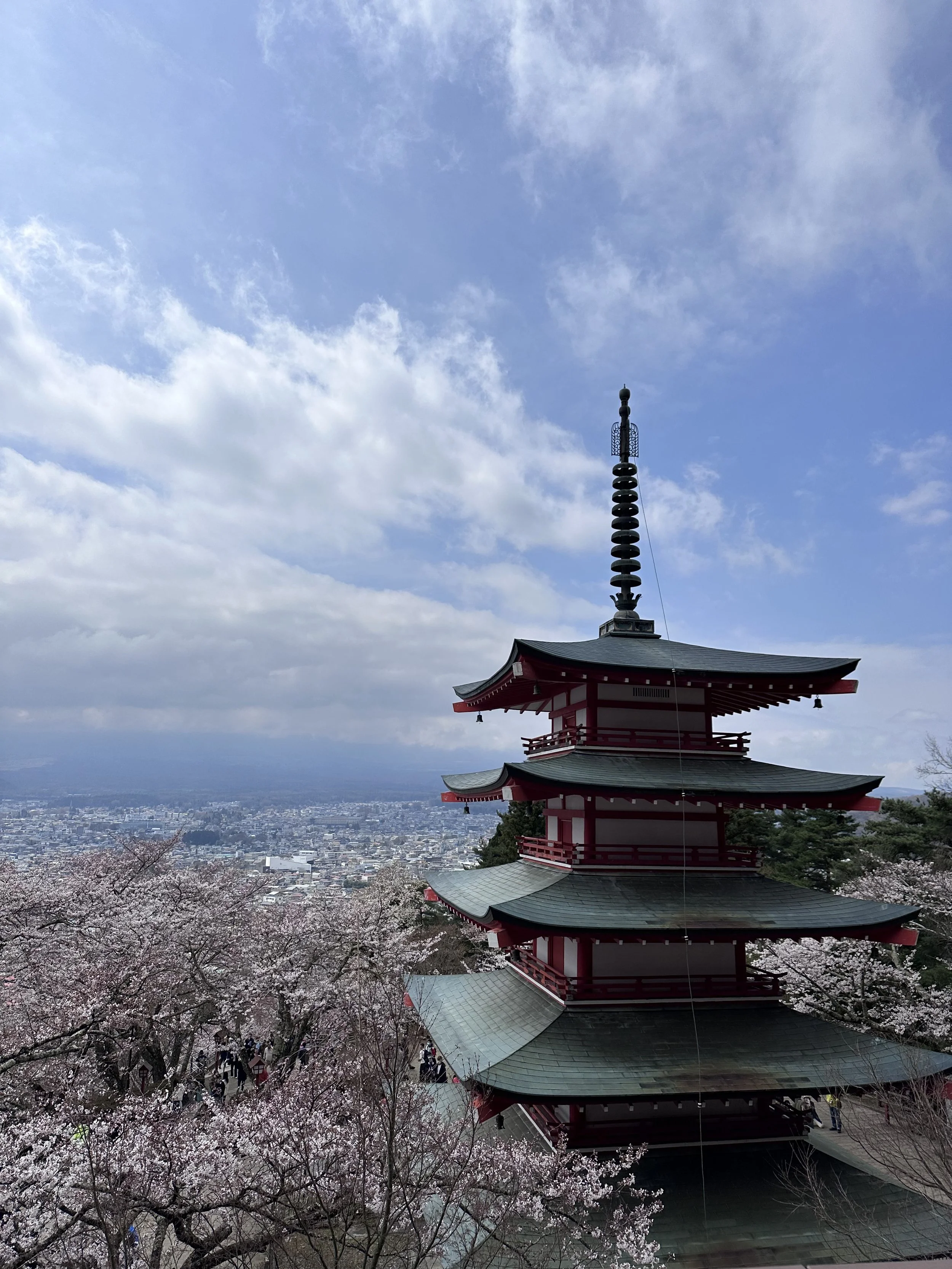 Chureito Pagoda with Cherry Blossoms