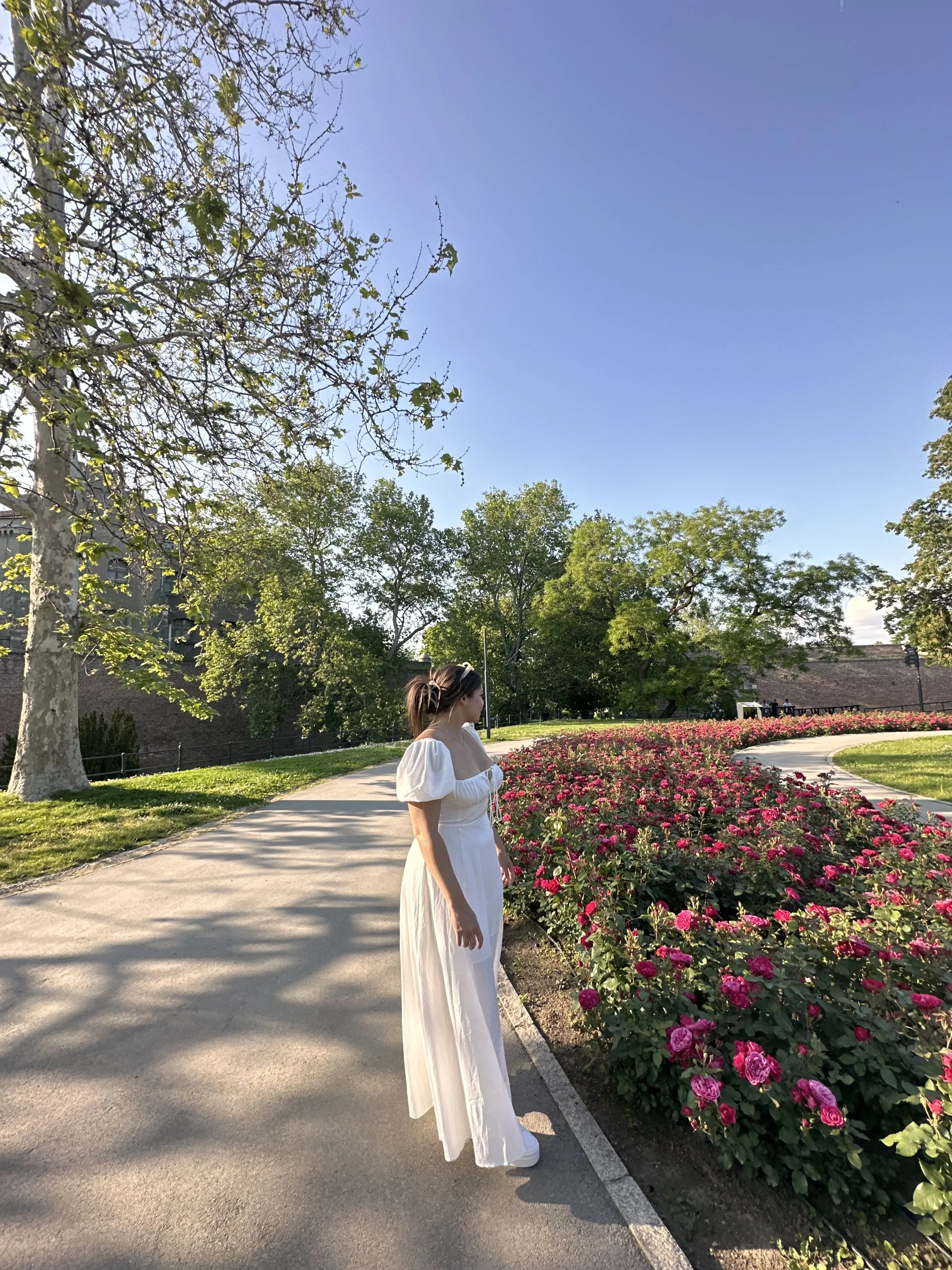 Shauny in Rose Garden, Belgrade Serbia