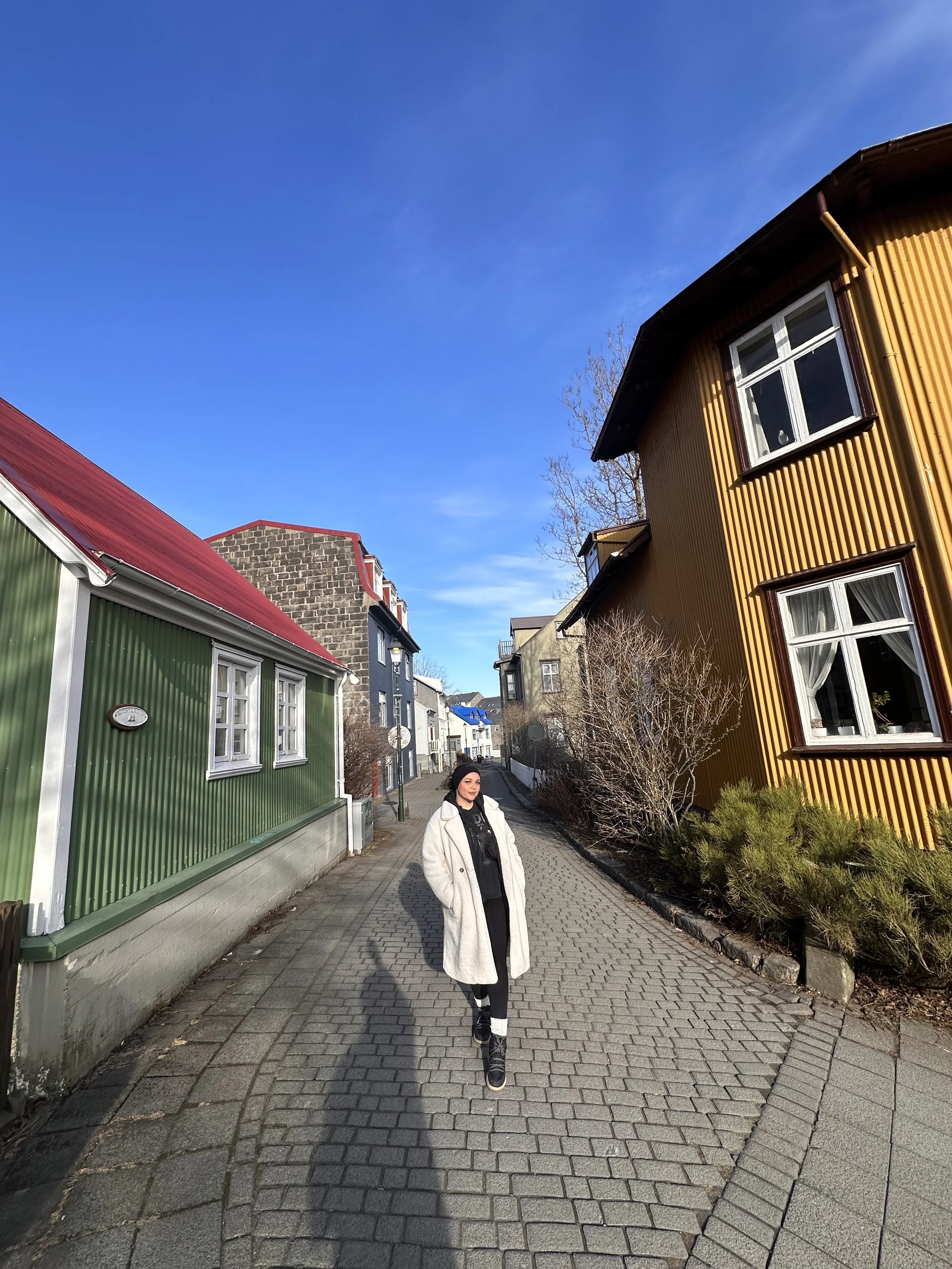 Shauny on Reykjavik Walking Tour