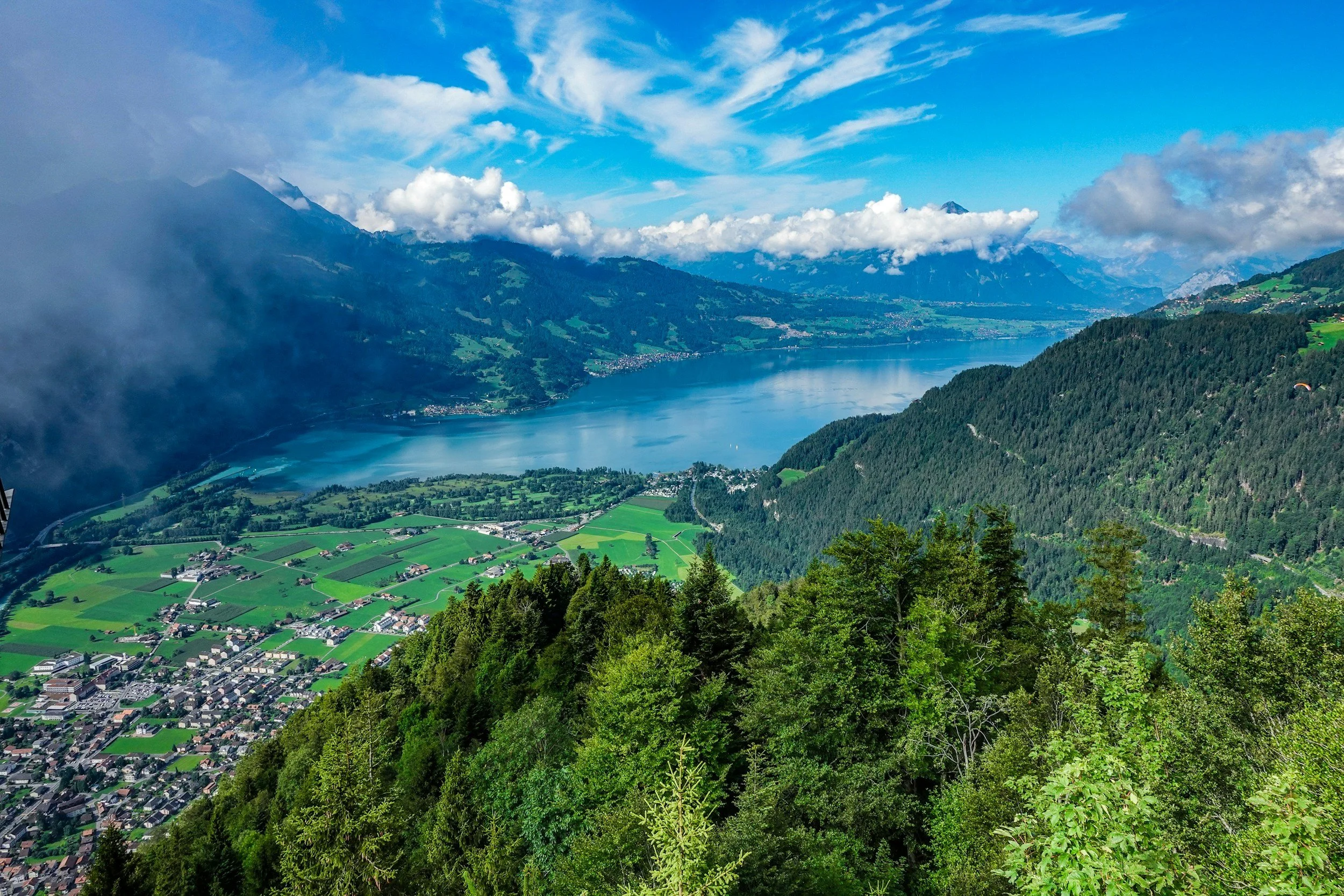 Swiss View