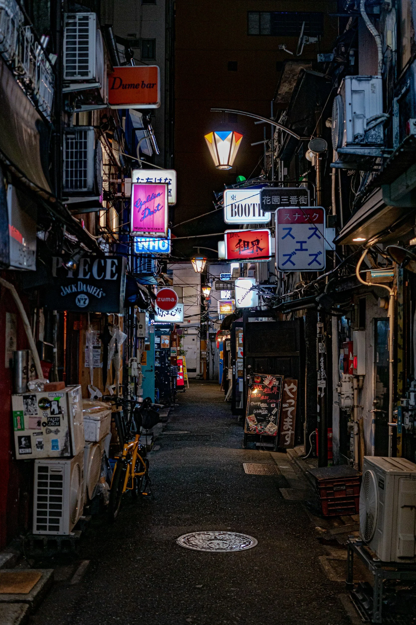 Golden Gai and Piss Alley at night