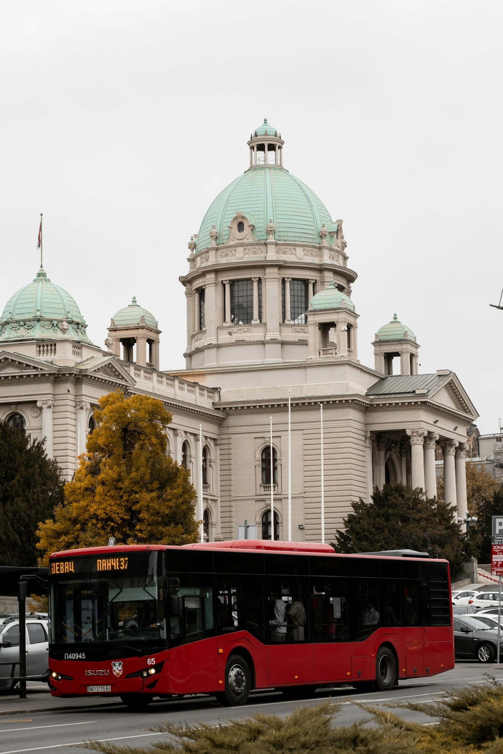 Belgrade Bus