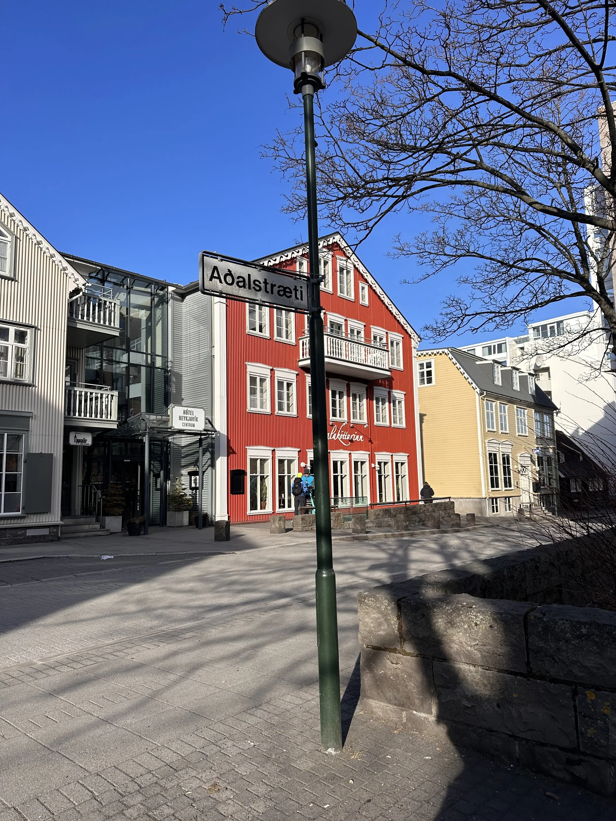 Reykjavik Street