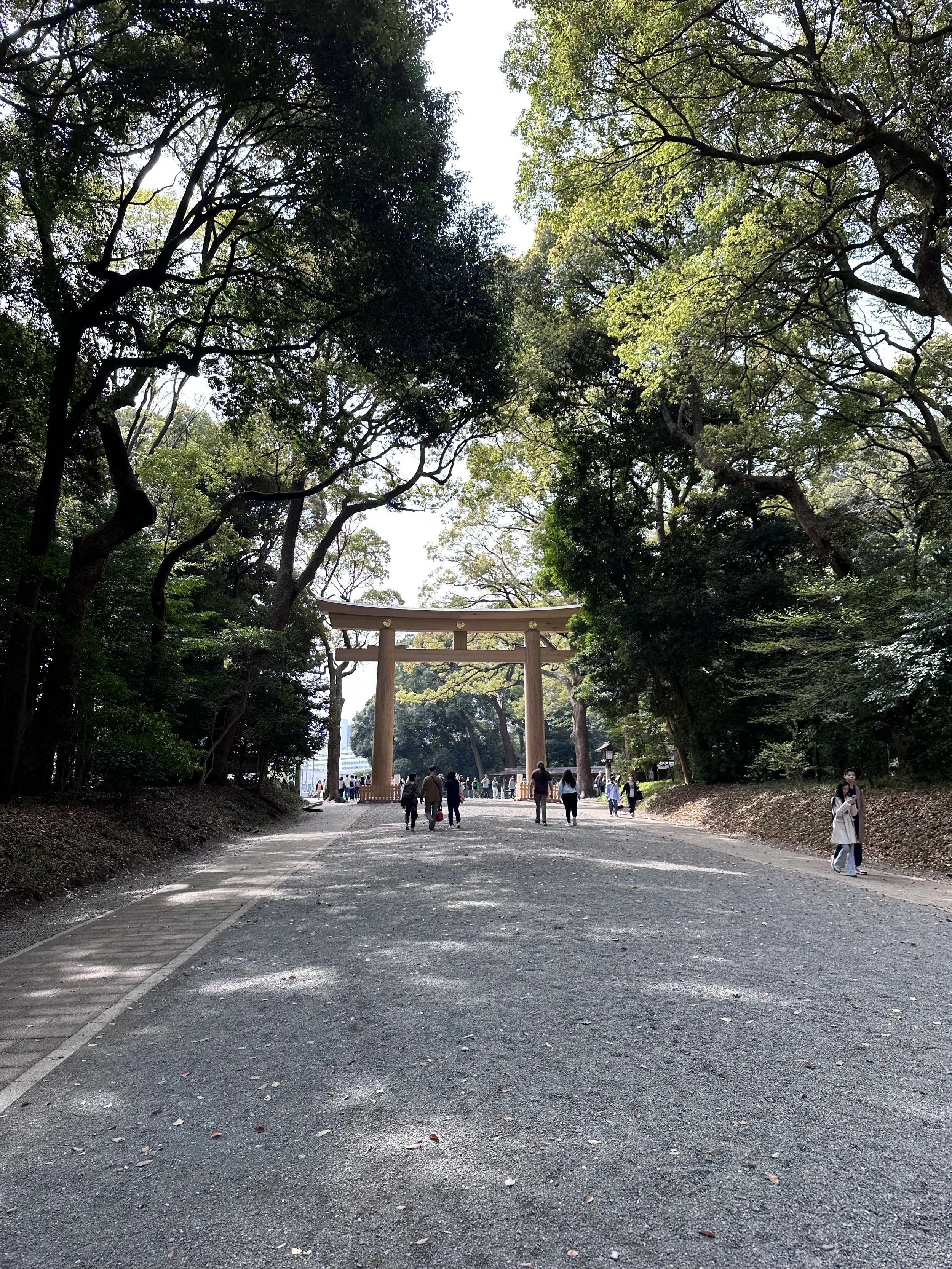 Meiji Shrine Entrance