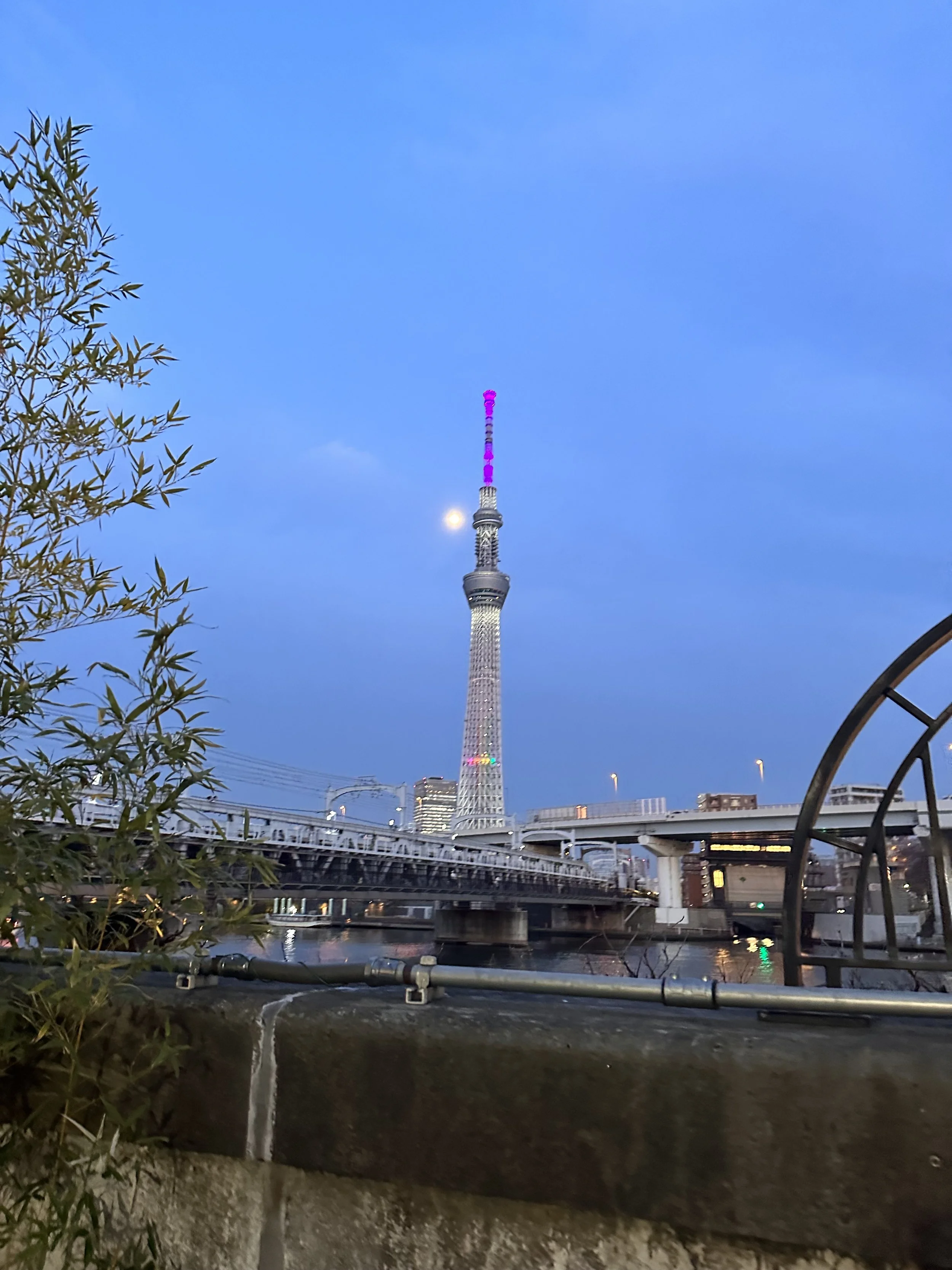 Tokyo Skytree at Dusk by the water