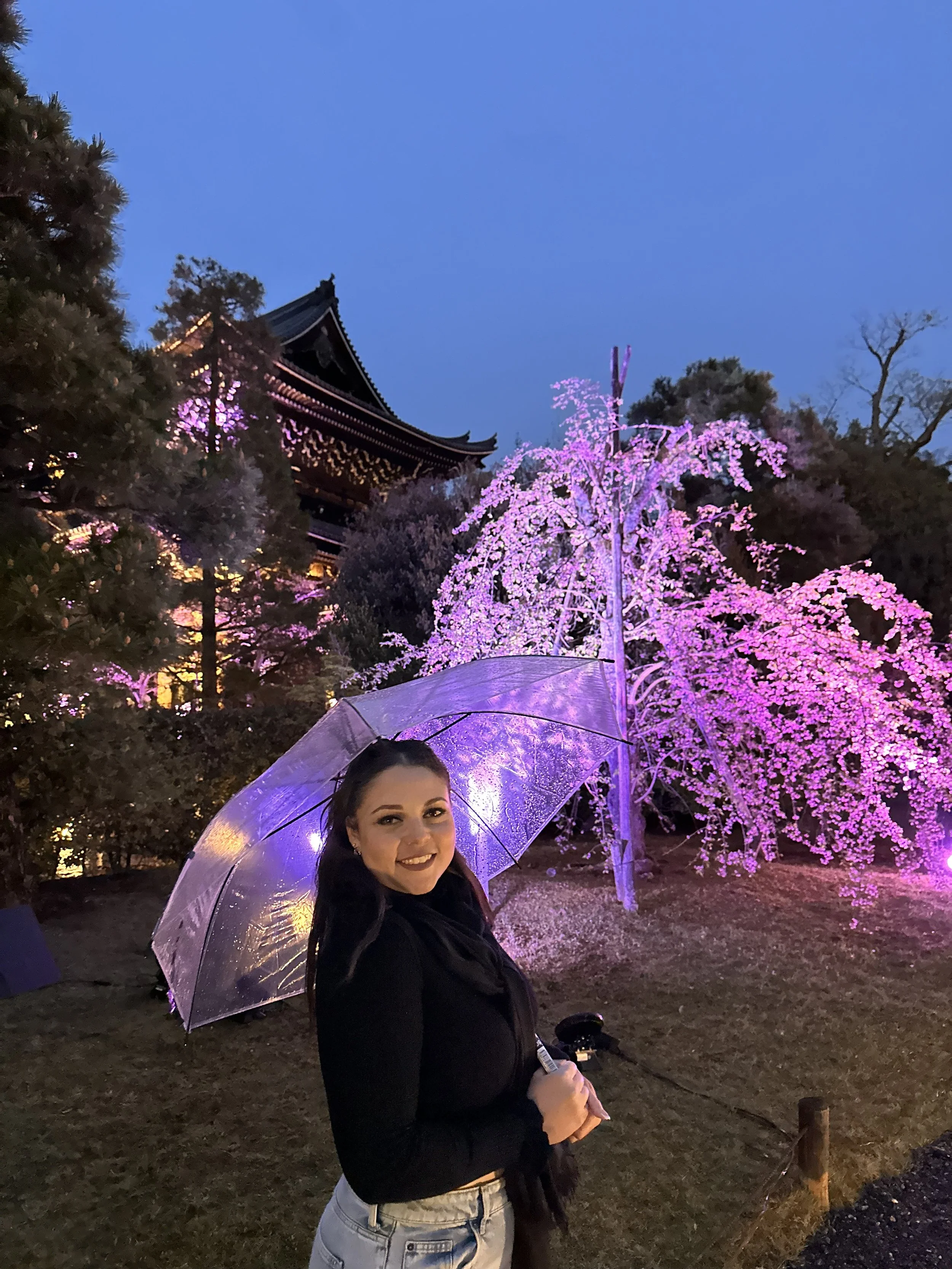 Shauny at Chion-in Temple at Night with Cherry Blossom Illumination