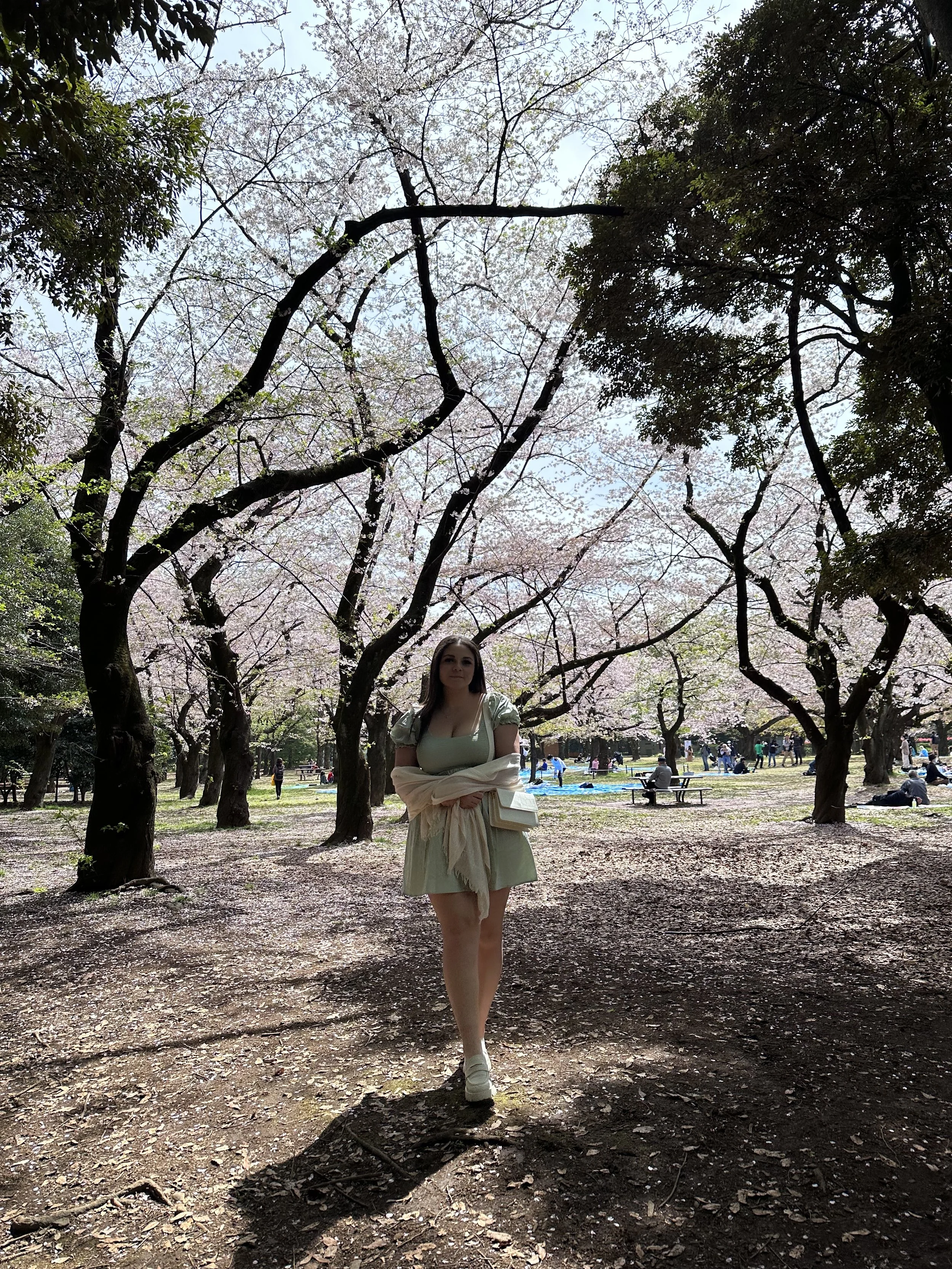 Shauny standing in Yoyogi Park with Cherry Blossoms