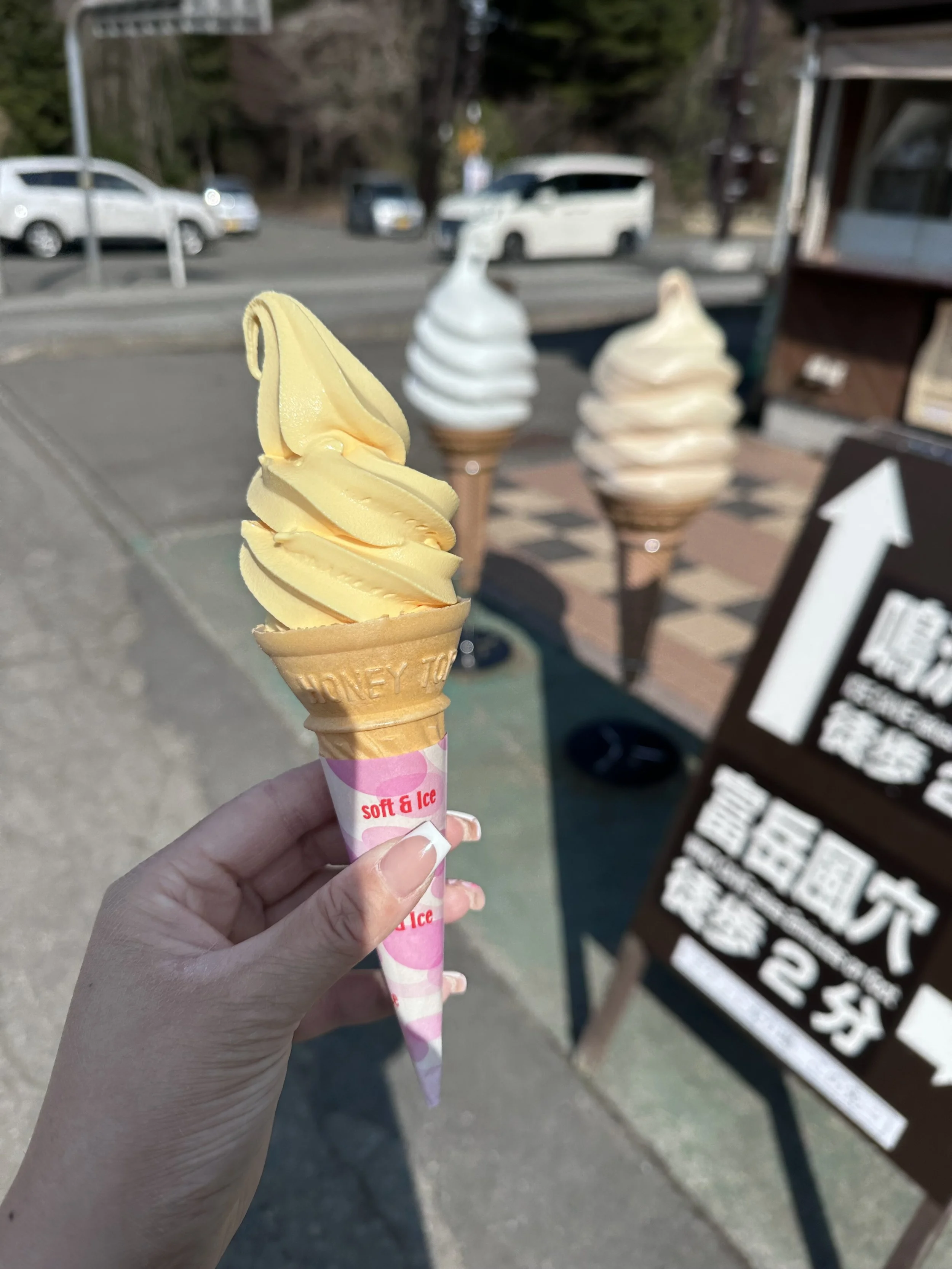 Corn Ice Cream from Aokigahara