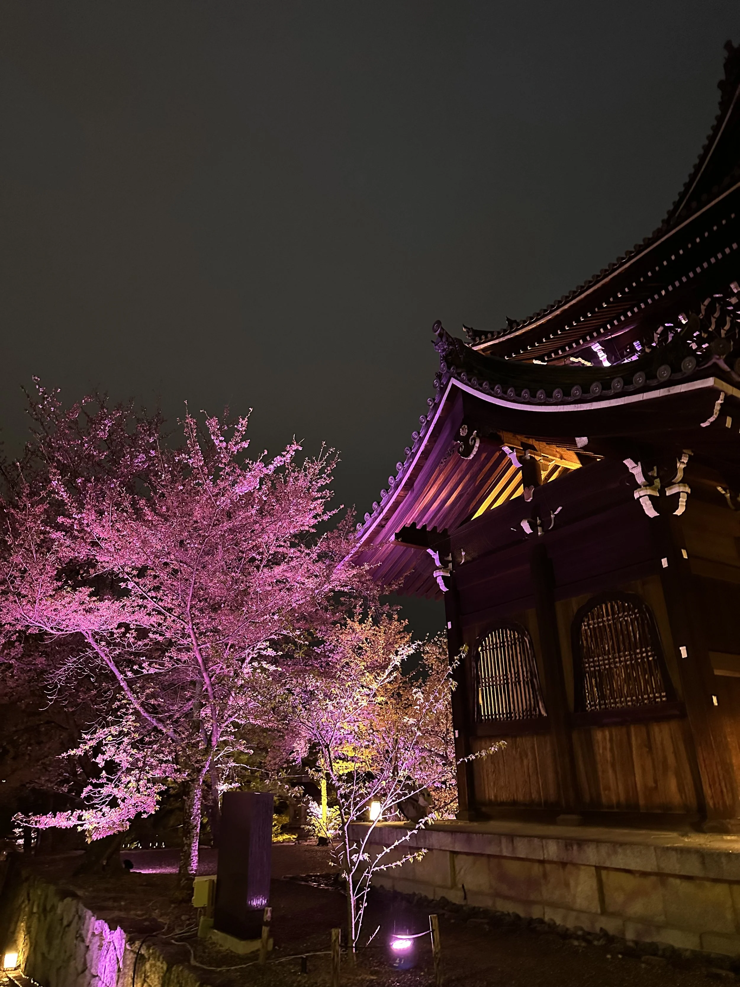 Chion-in Temple at Night