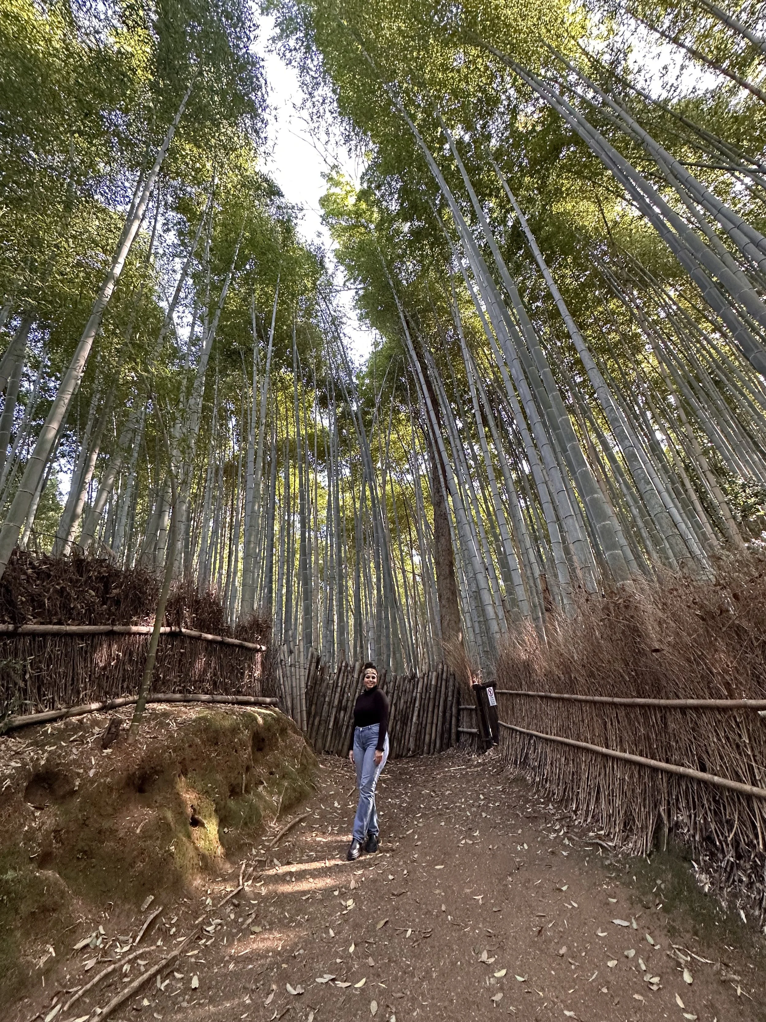Shauny in Arashiyama Bamboo Grove
