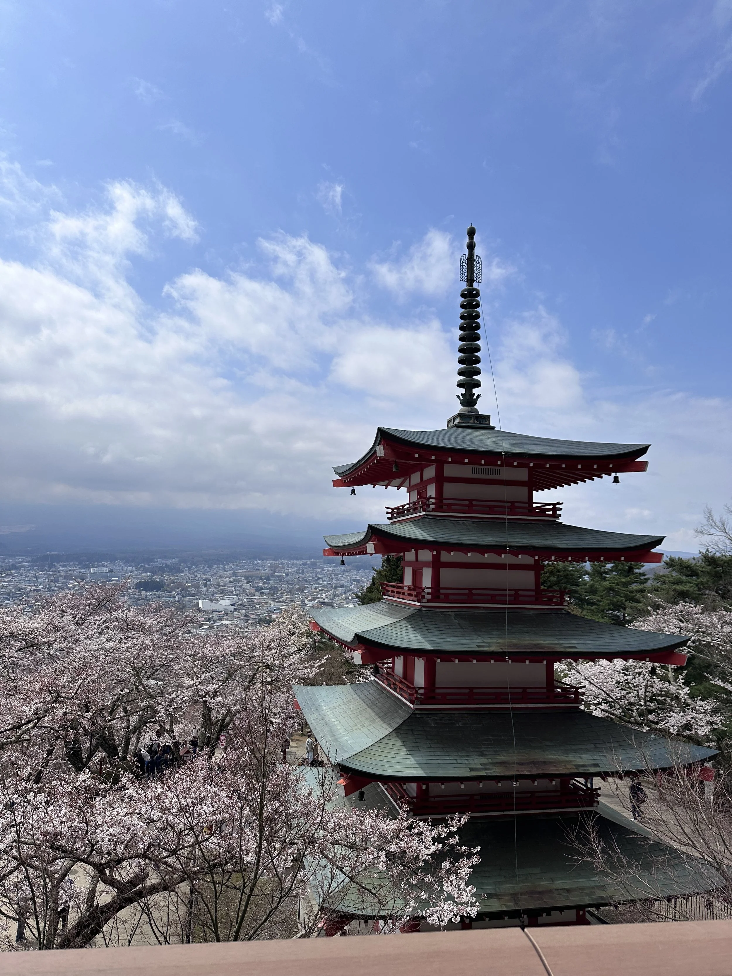 Chureito Pagoda with Cherry Blossoms