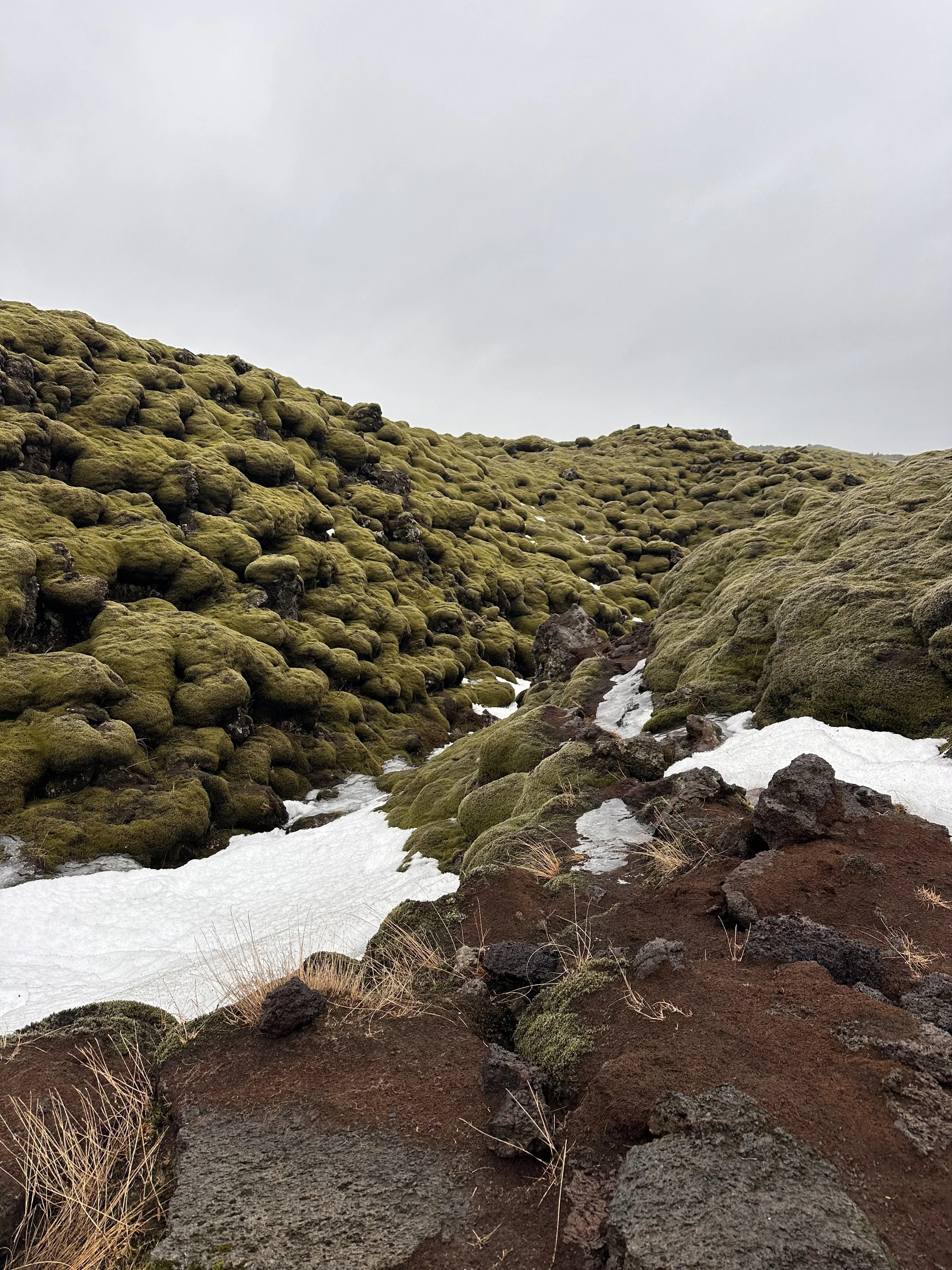 Lava Fields with Snow, Iceland