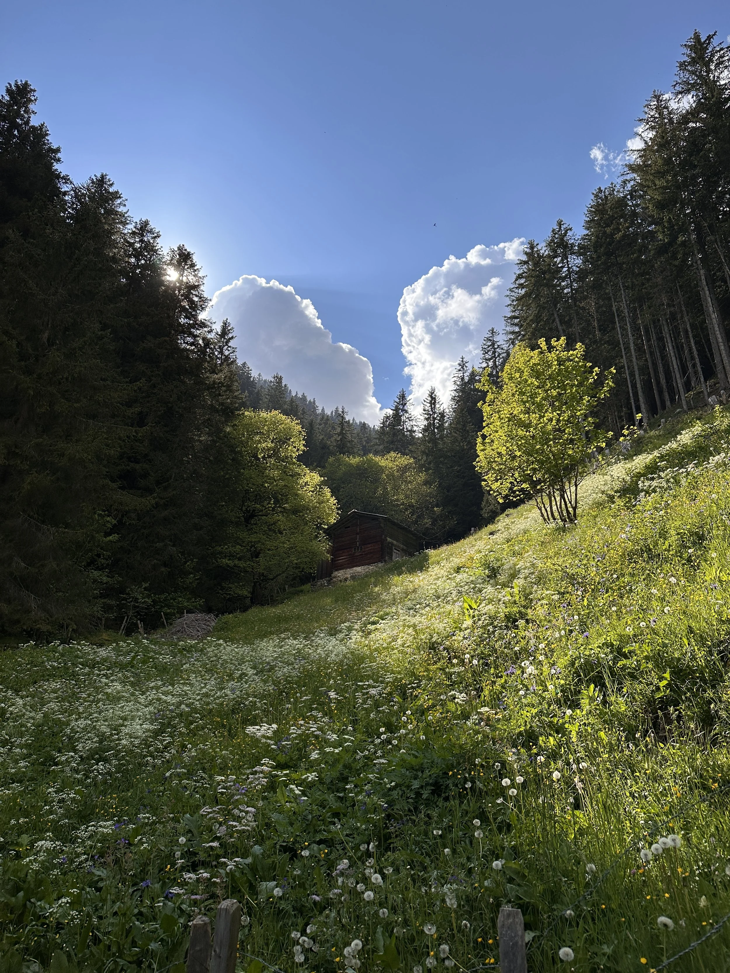 Sunyy Gimmelwald Hillside with Clouds