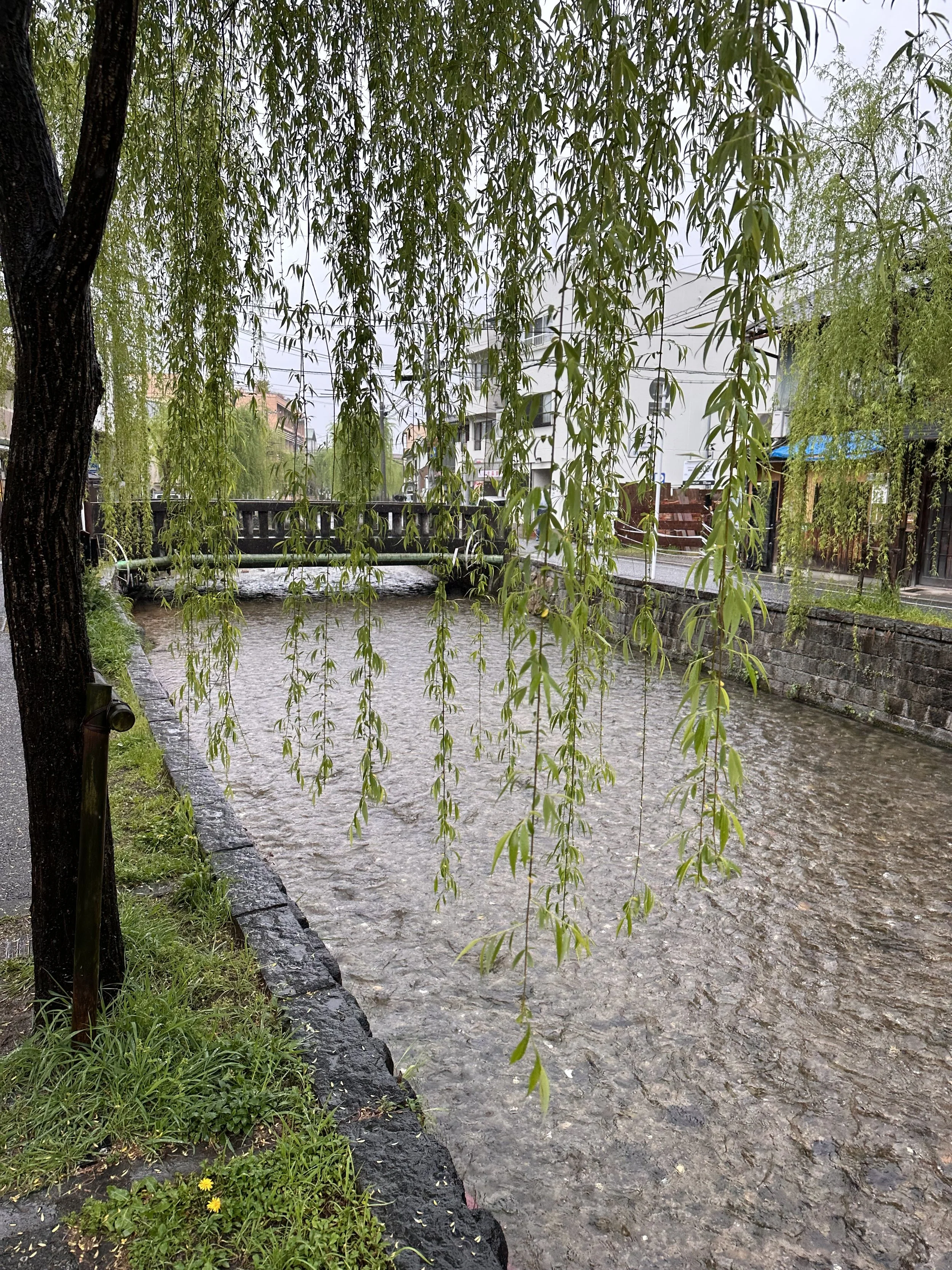 Canal in Kyoto