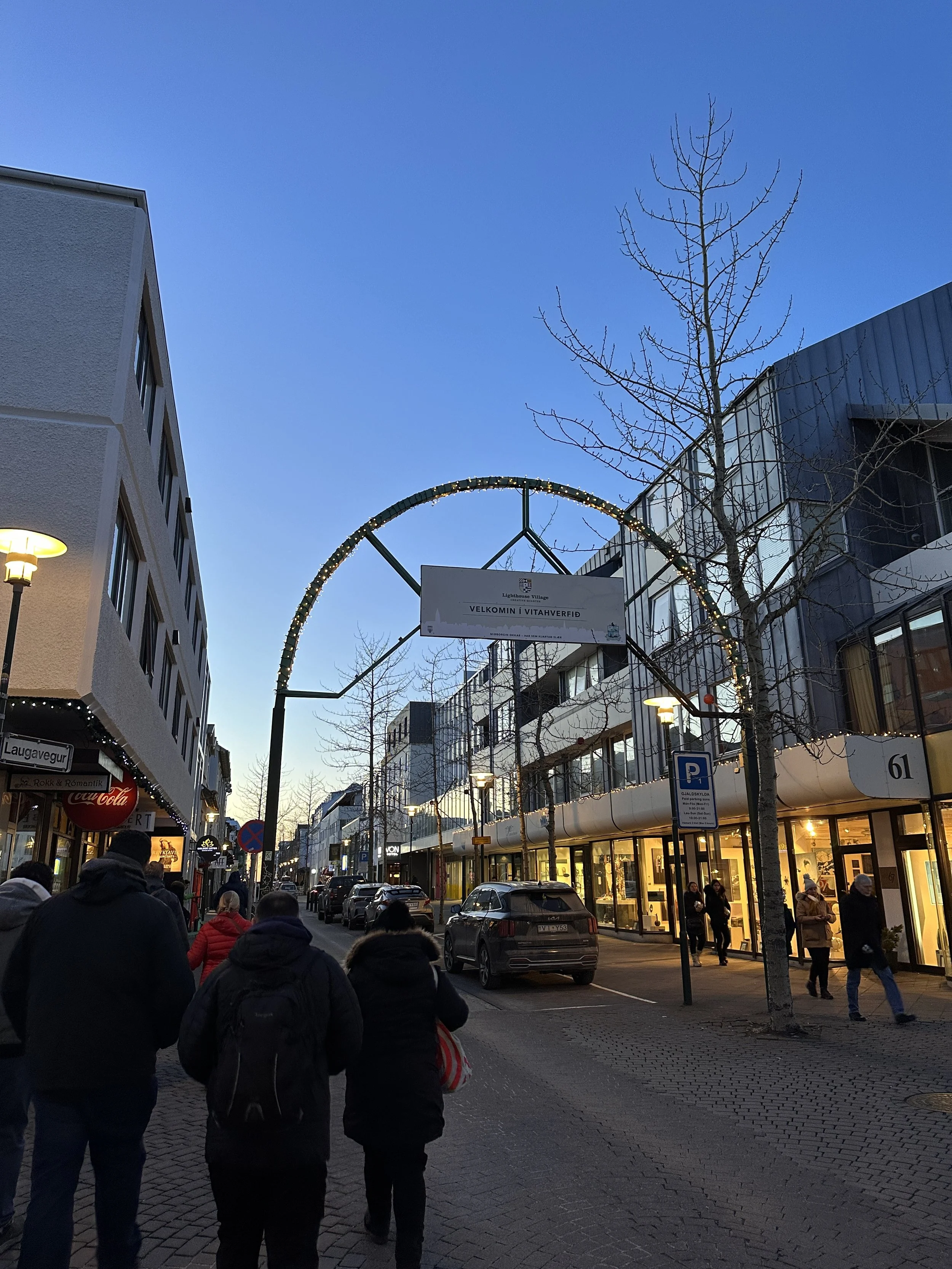 Reykjavik Street at Dusk