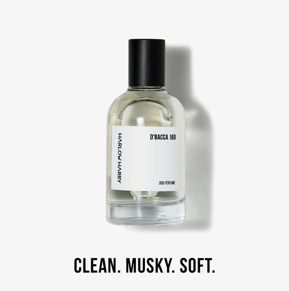 Screenshot 2026-02-07 at 4.30.00 pm.png