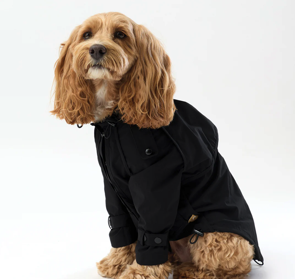 Screenshot 2026-04-05 at 9.12.58 pm.png