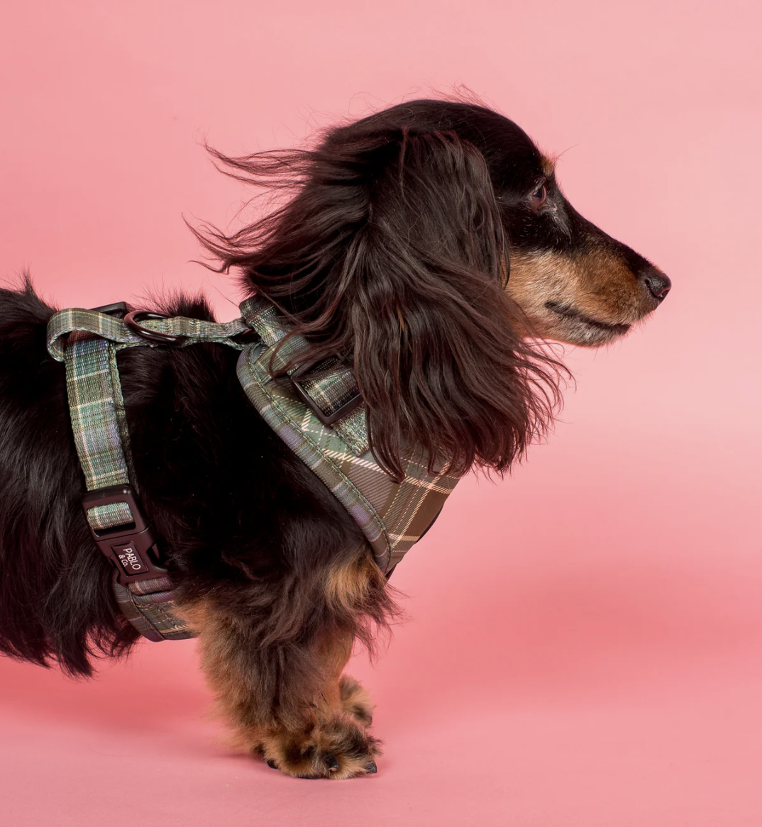 Screenshot 2026-04-20 at 11.48.20 am.png