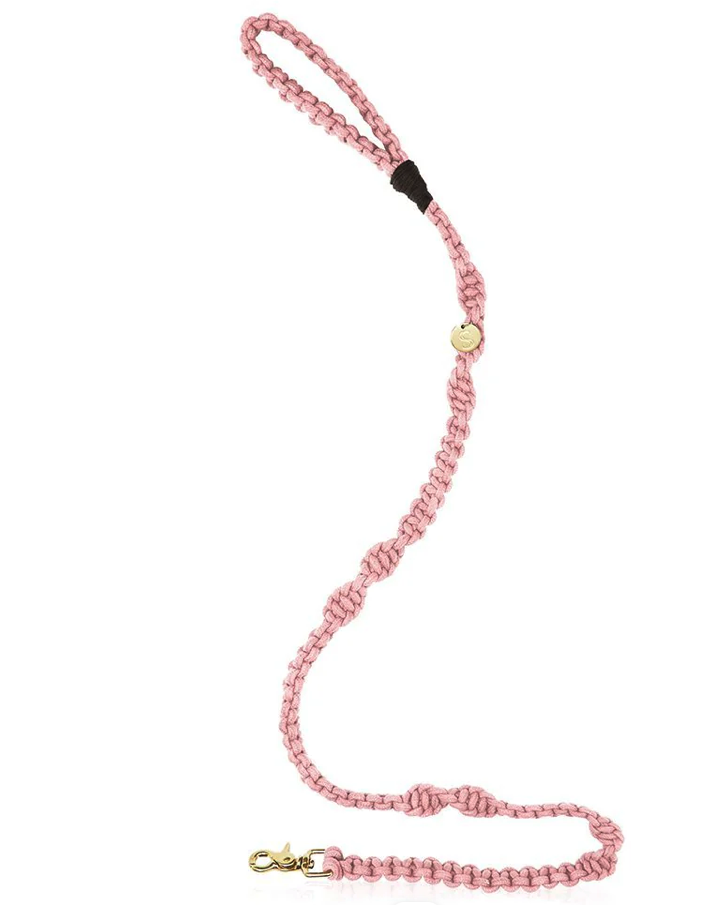 Screenshot 2026-04-05 at 9.11.02 pm.png