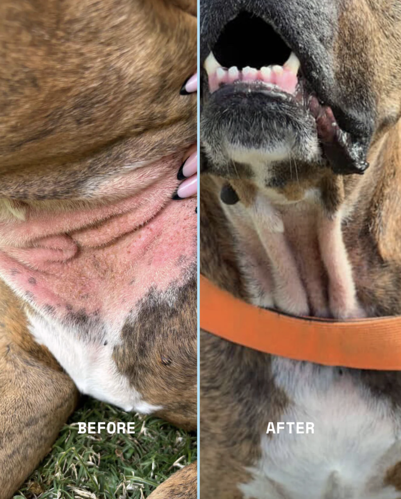 Screenshot 2026-04-14 at 9.38.24 am.png