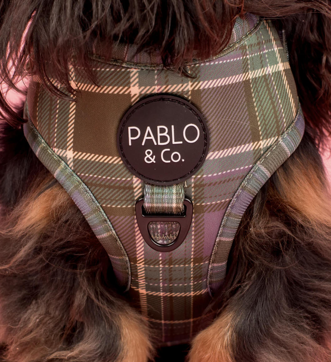 Screenshot 2026-04-20 at 11.48.15 am.png