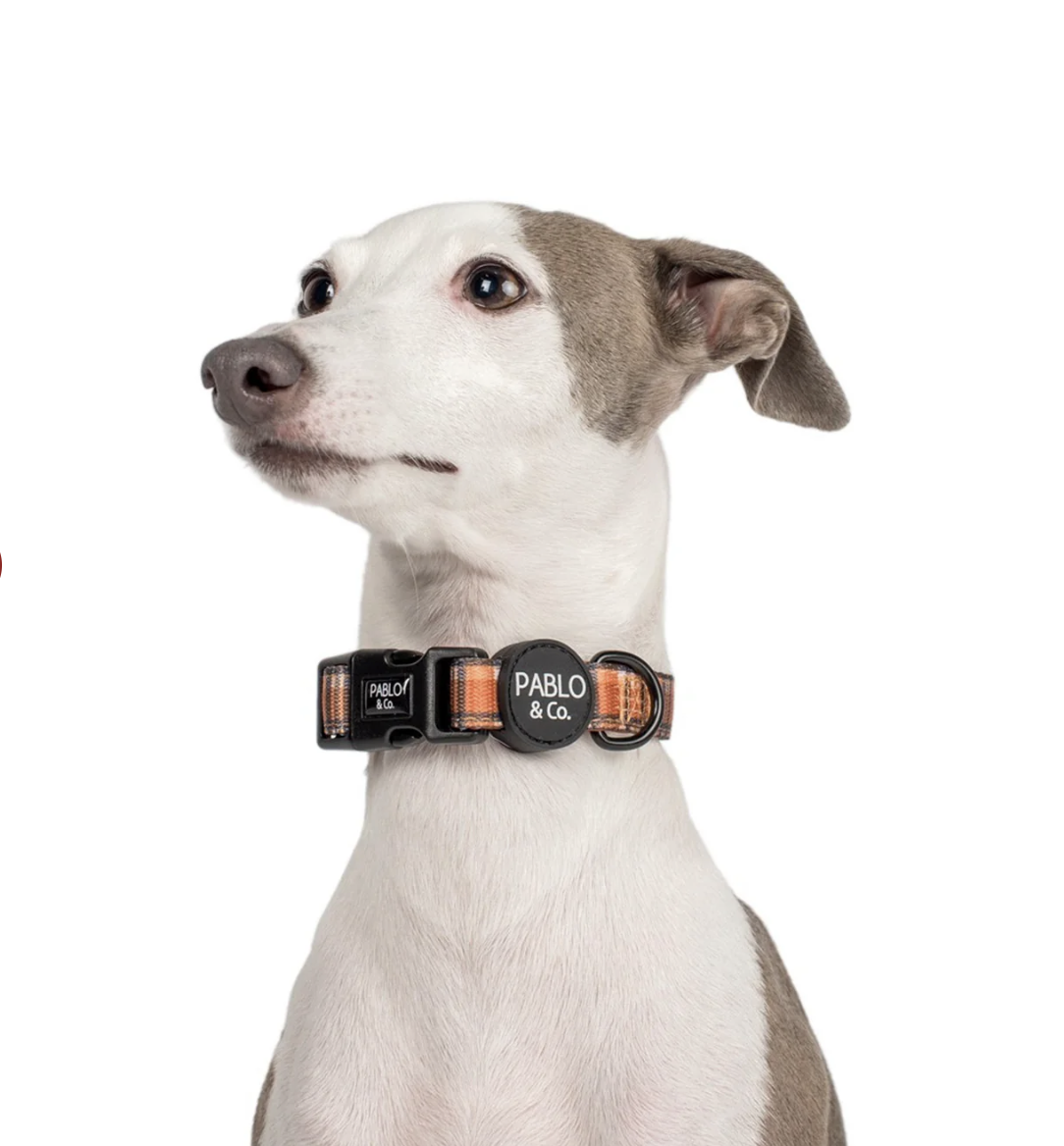 Pablo & Co Dog Collar: Vintage Plaid