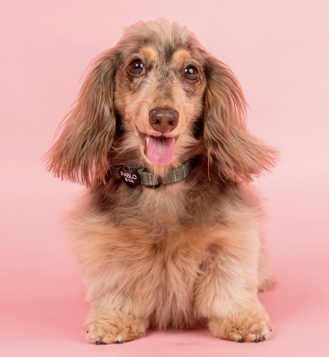 Screenshot 2026-04-20 at 1.23.26 pm.png