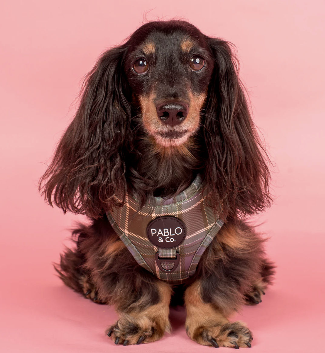 Screenshot 2026-04-20 at 11.48.06 am.png