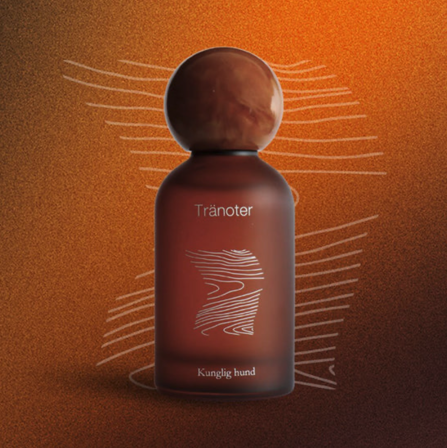 Screenshot 2026-04-05 at 8.45.48 pm.png