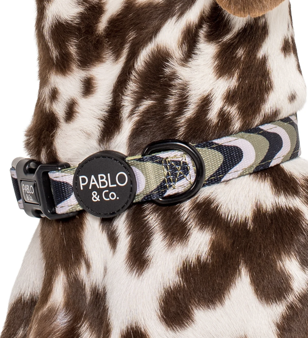 Pablo & Co Dog Collar: Navy Wavy