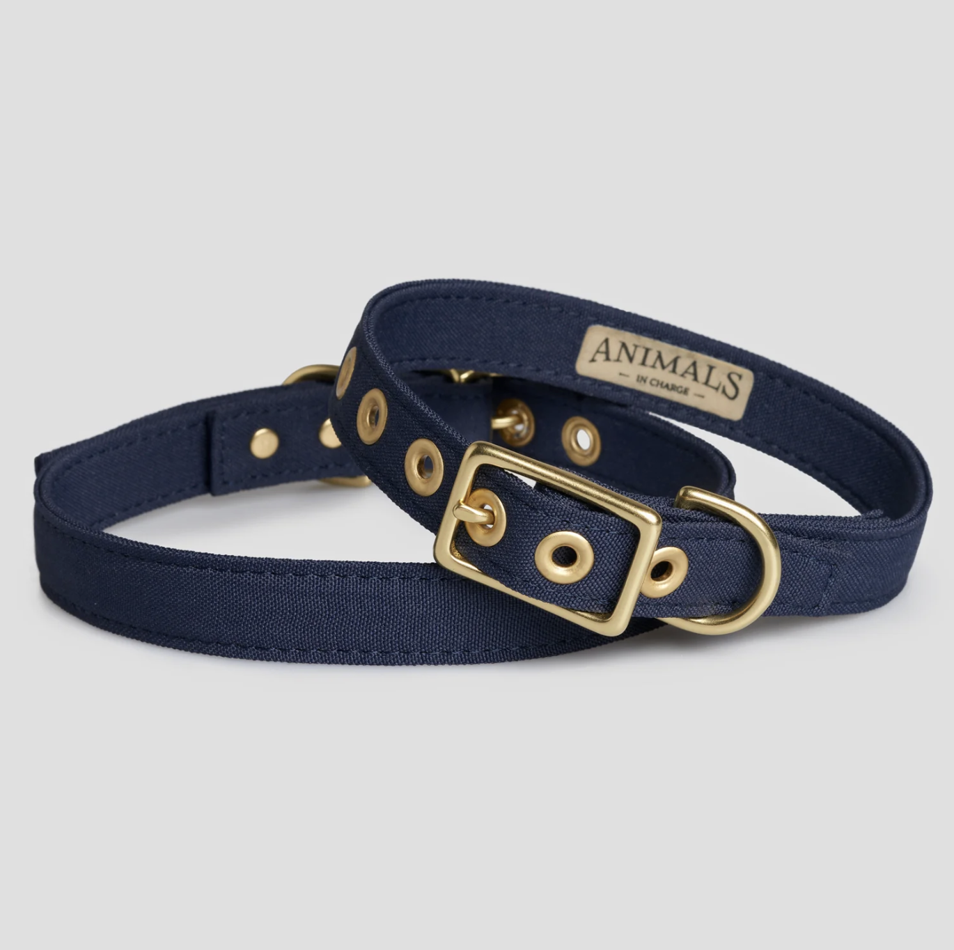 Animals in Charge Recycled Canvas Collar: Navy