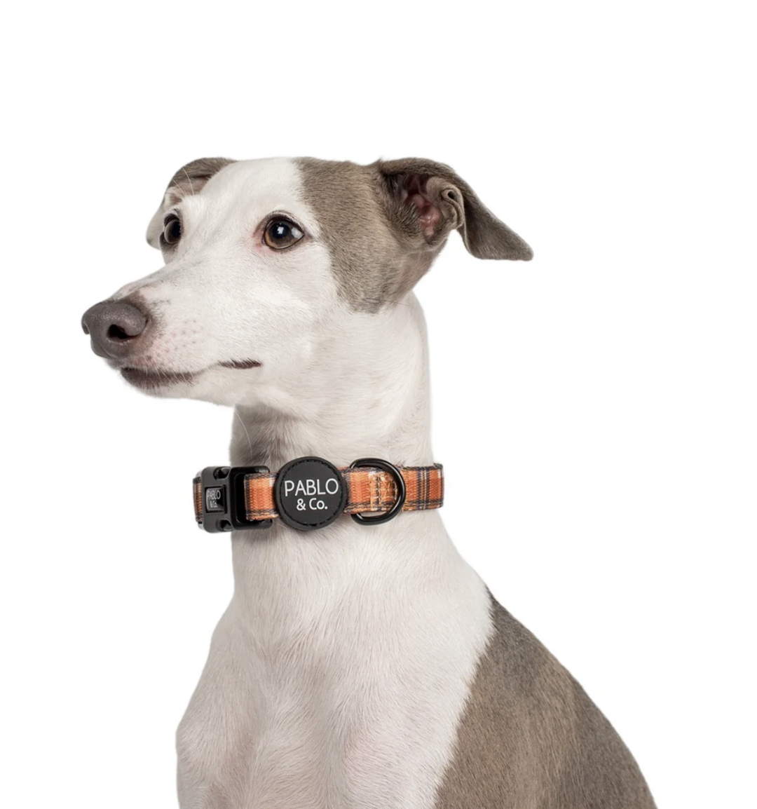 Screenshot 2026-01-21 at 2.37.21 pm.png