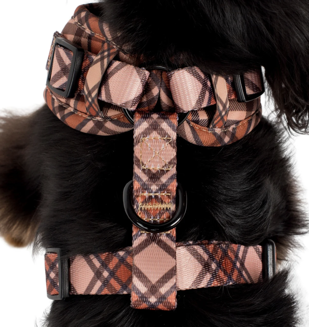 Screenshot 2025-12-02 at 10.20.16 am.png