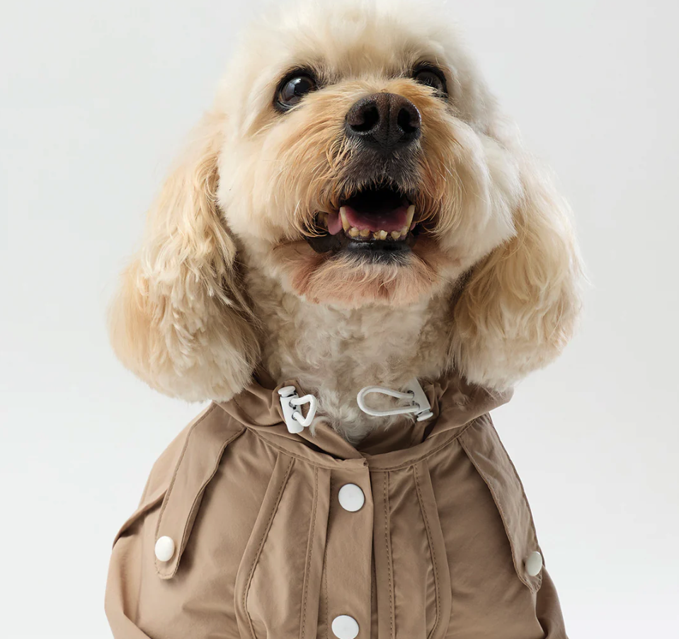 Screenshot 2026-04-05 at 9.16.06 pm.png