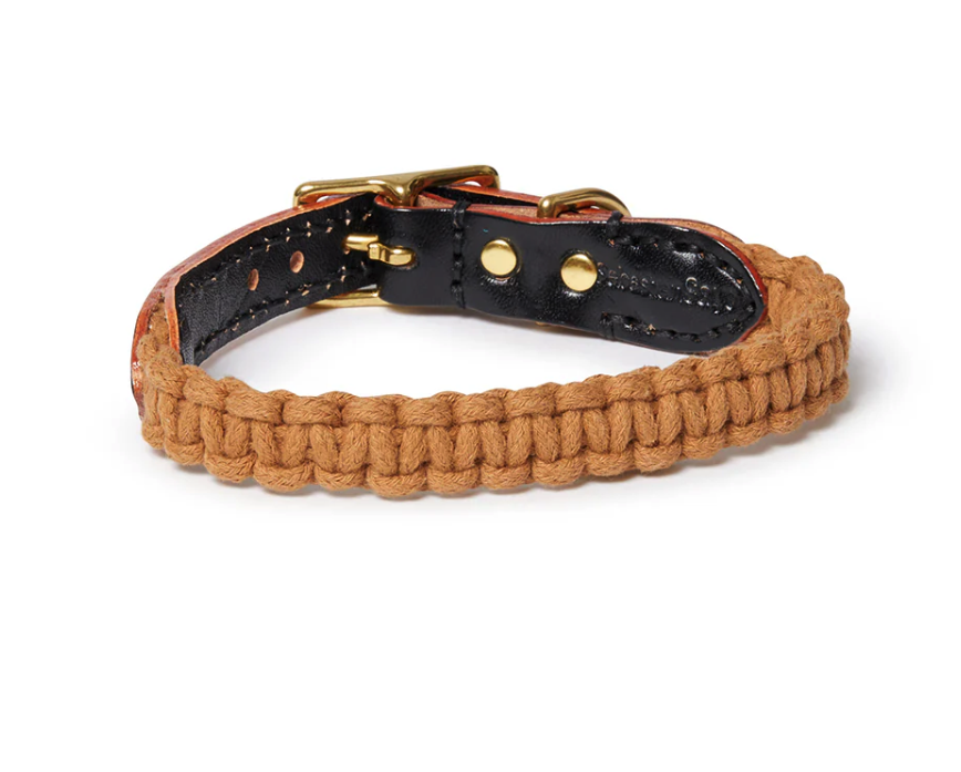 Screenshot 2026-04-05 at 8.58.51 pm.png