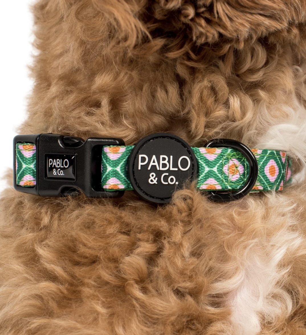 Pablo & Co Dog Collar: 70's Style