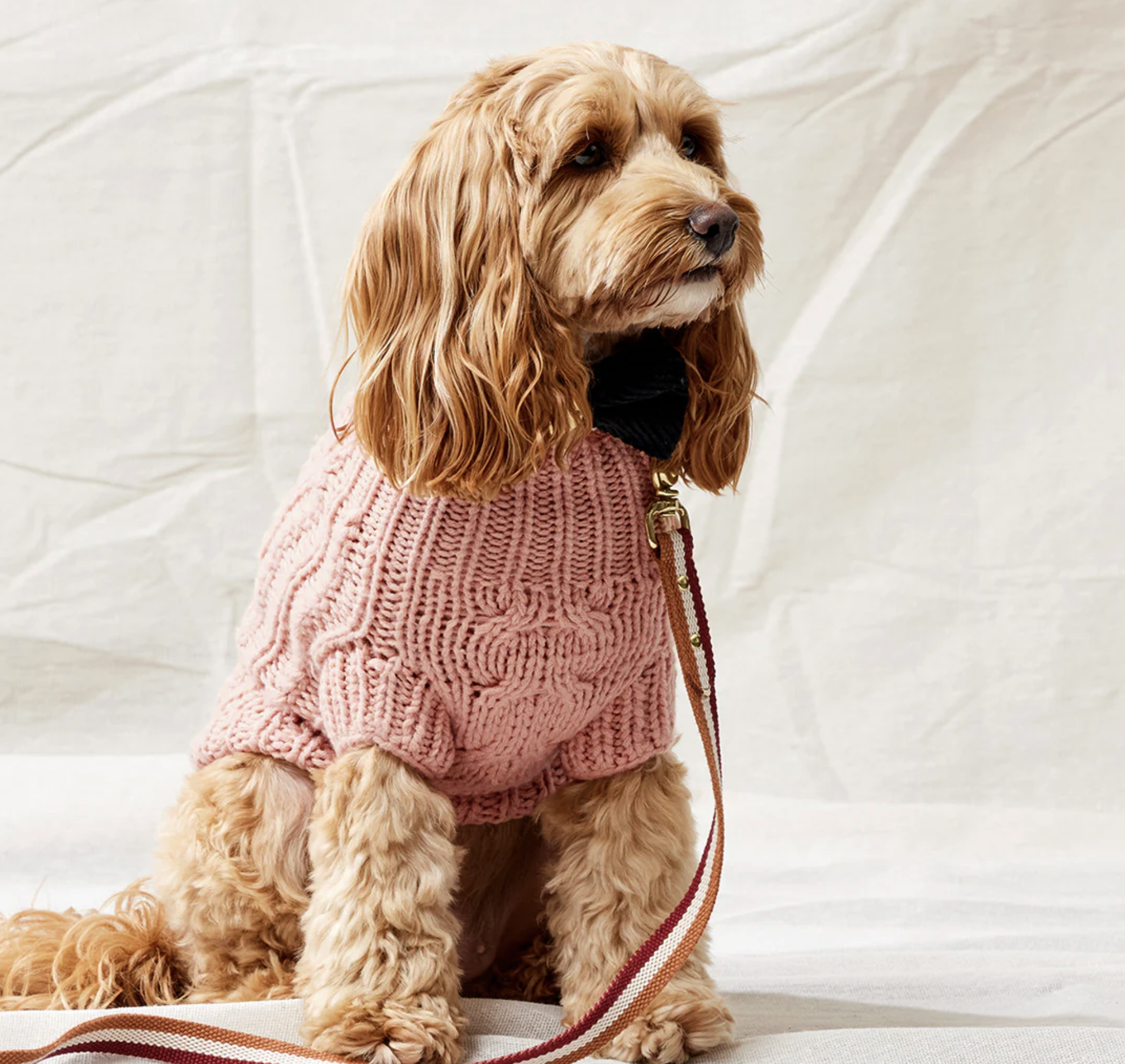 Screenshot 2026-04-24 at 10.38.33 am.png