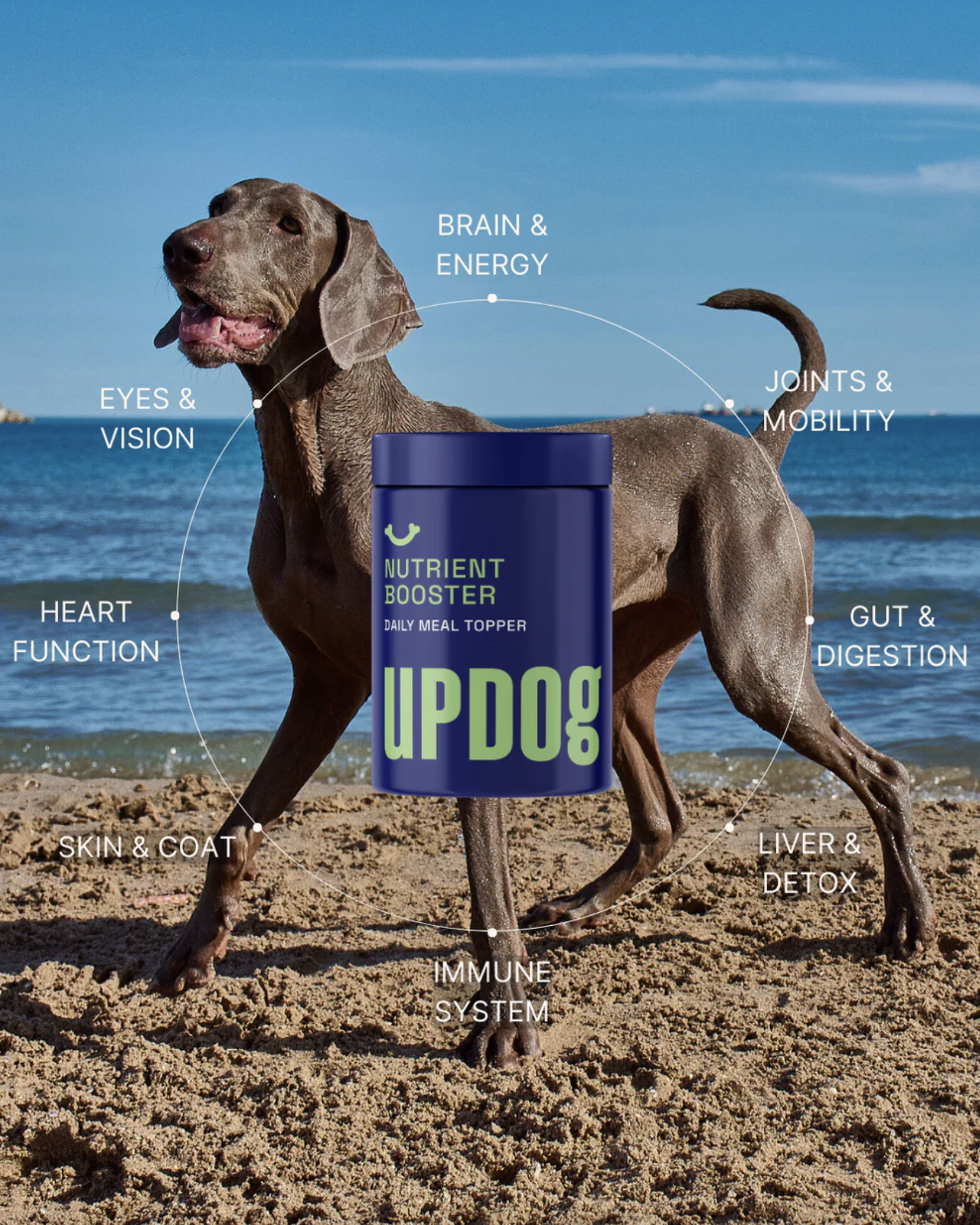 Screenshot 2026-04-14 at 9.30.08 am.png