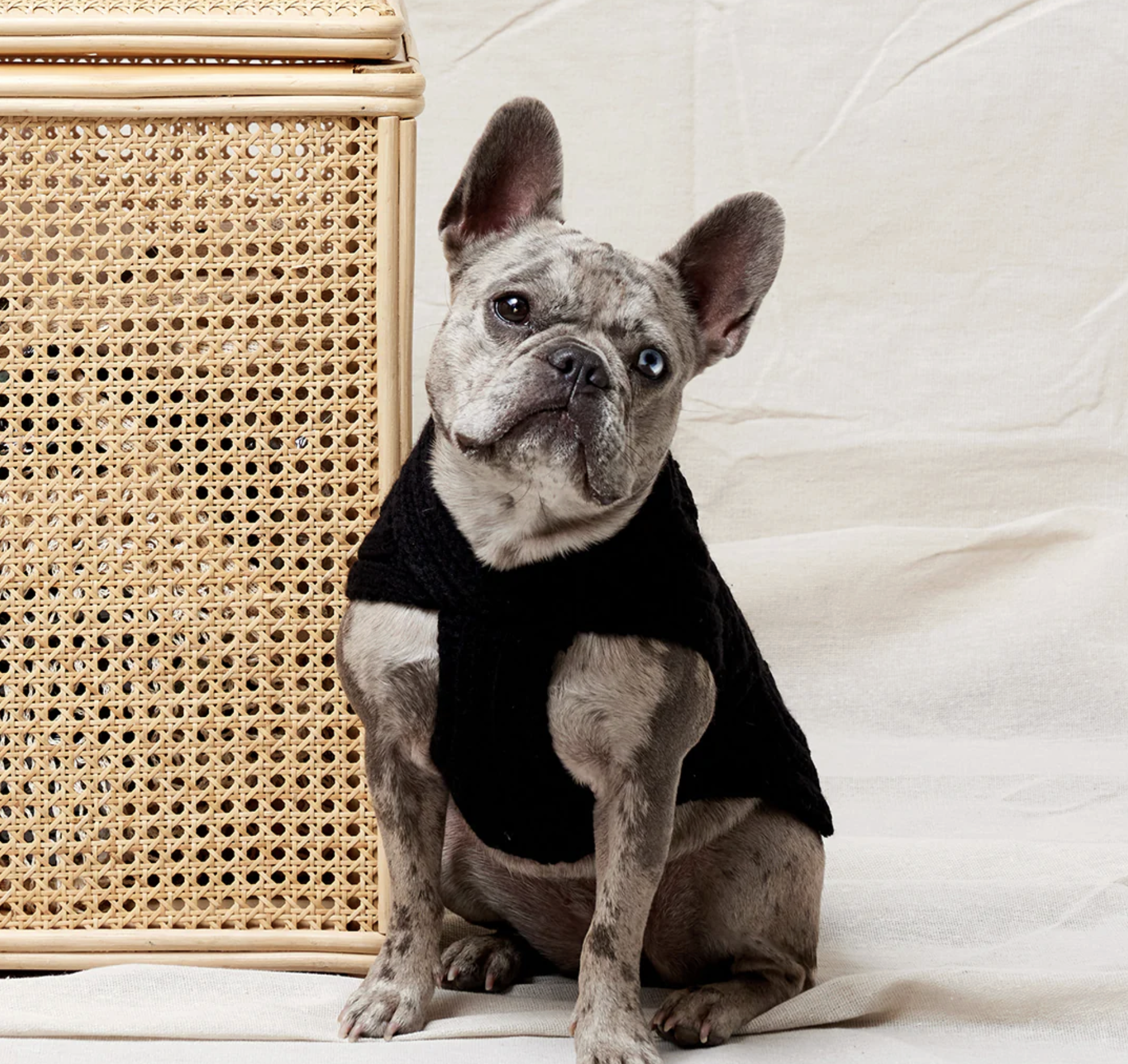 Screenshot 2026-04-24 at 11.05.14 am.png