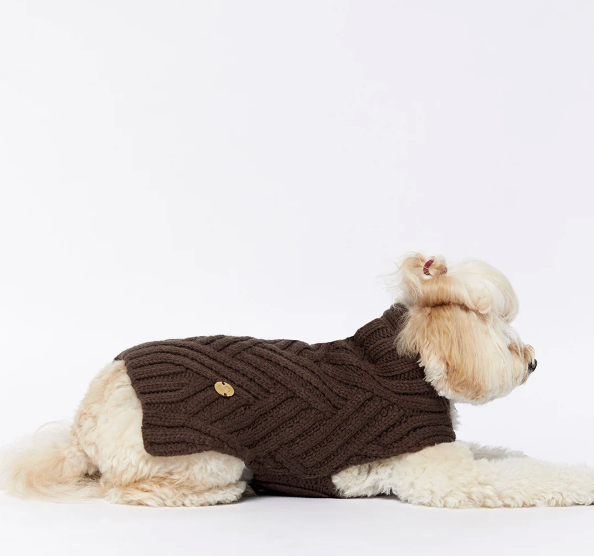 Screenshot 2026-04-24 at 11.15.32 am.png