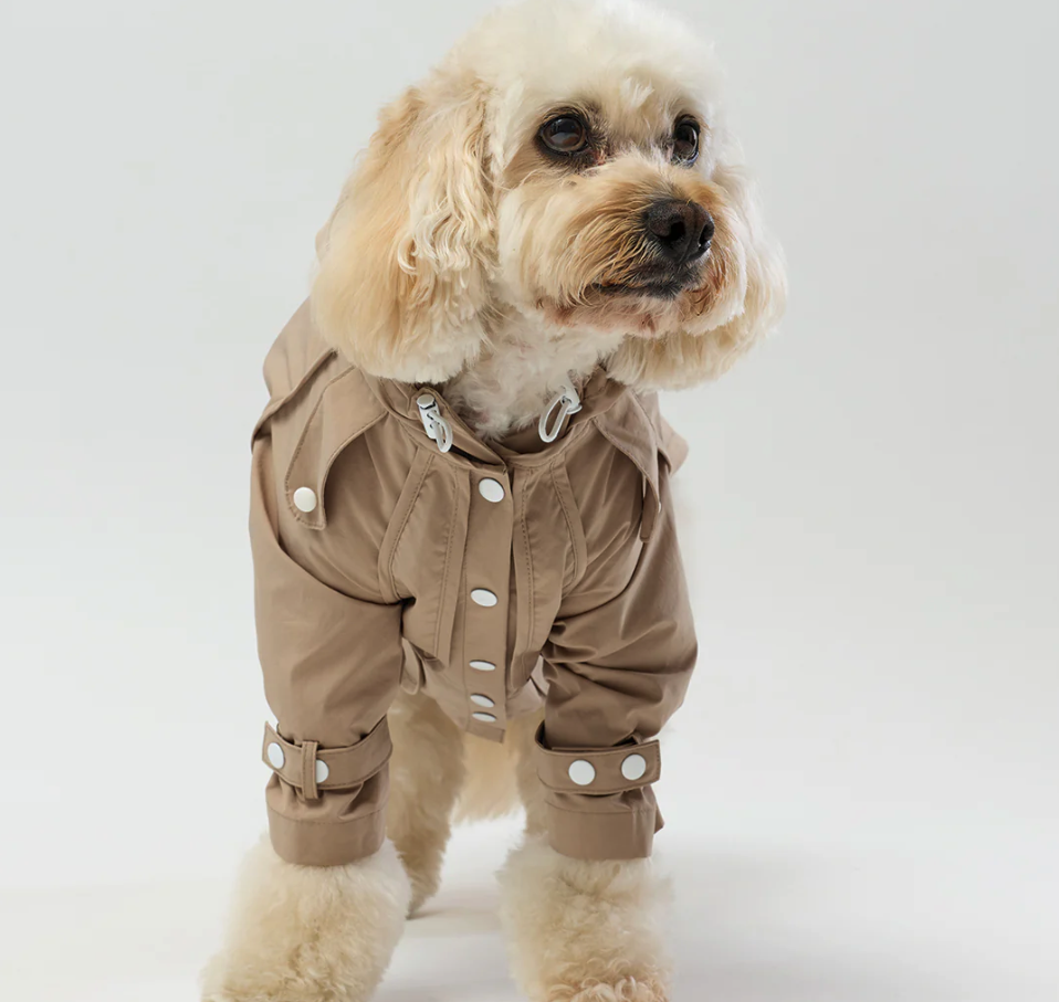 Screenshot 2026-04-05 at 9.15.43 pm.png